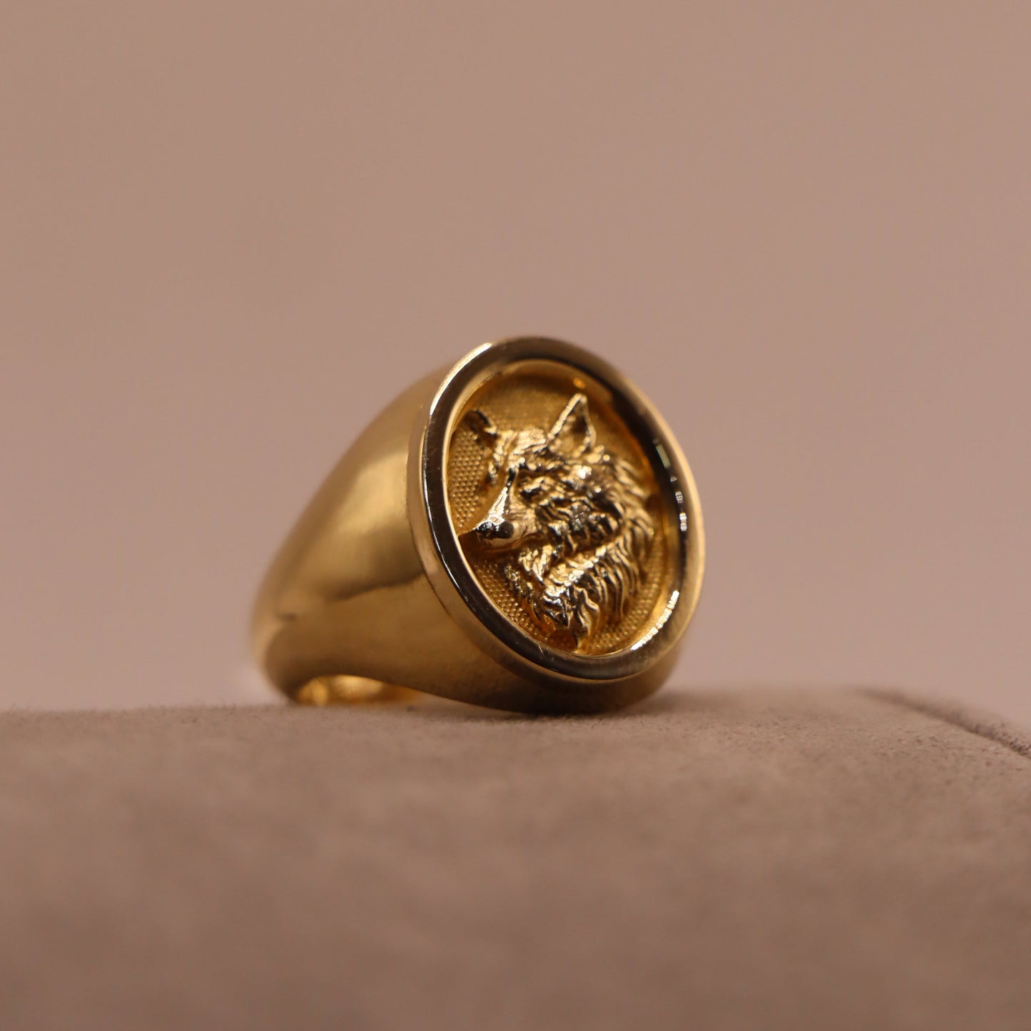 Anillo de lobo